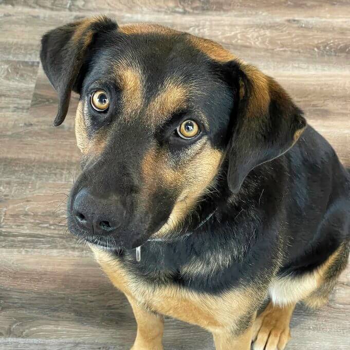 KarenHarrisDirectorofSecurityAshleyHarvey_Export